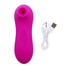 Sugador de Clitóris e Vibrador Golfinho - Estimulador Massageador