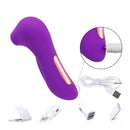 Sugador de Clitóris e Vibrador Golfinho - Estimulador Massageador